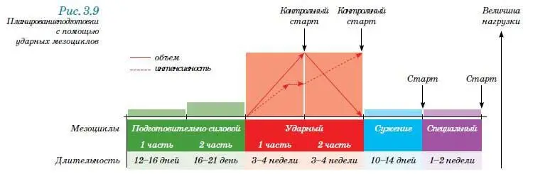 В каждом мезоцикле вы можете использовать как короткие так и длинные - фото 175