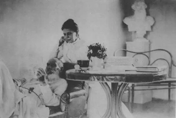 Лев Николаевич и Софья Андреевна Ясная Поляна 1901 г Лев Николаевич и - фото 35