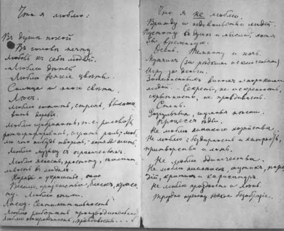Из записной книжки С А Толстой Последняя годовщина свадьбы Ясная Поляна - фото 46