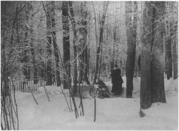 Софья Андреевна на могиле Льва Николаевича 1912 г Последнее письмо Софьи - фото 48