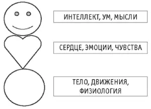 Интеллектуальный и физический центры находятся под непосредственным волевым - фото 35