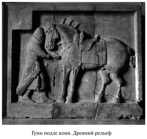 Эти люди не видят что кони варваров были совершенно отличны от римских коней - фото 6