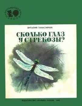 Виталий Танасийчук - Сколько глаз у стрекозы?