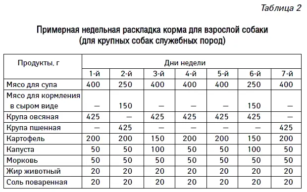Как ухаживать за стареющей собакой Старение животного Начиная с 67 лет - фото 51