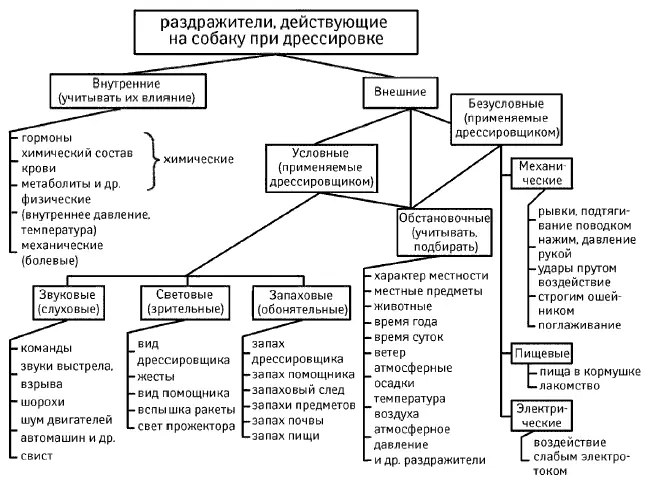Различные условия окружающей среды влияют на организм собаки в первую очередь - фото 54