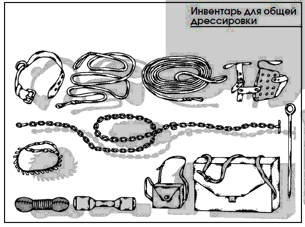Воспитанием щенка и его начальной дрессировкой нужно заниматься с первого дня - фото 60
