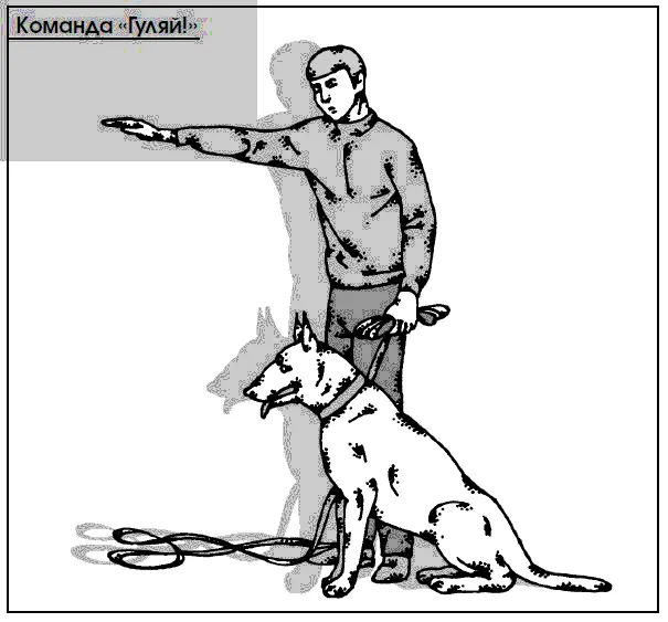 Этот навык необходим чтобы хозяин дрессировщик с помощью команды мог - фото 64