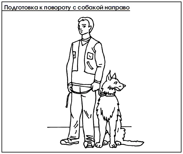 В дальнейшем усаживают щенка по команде Сидеть одновременно делая жест но - фото 72