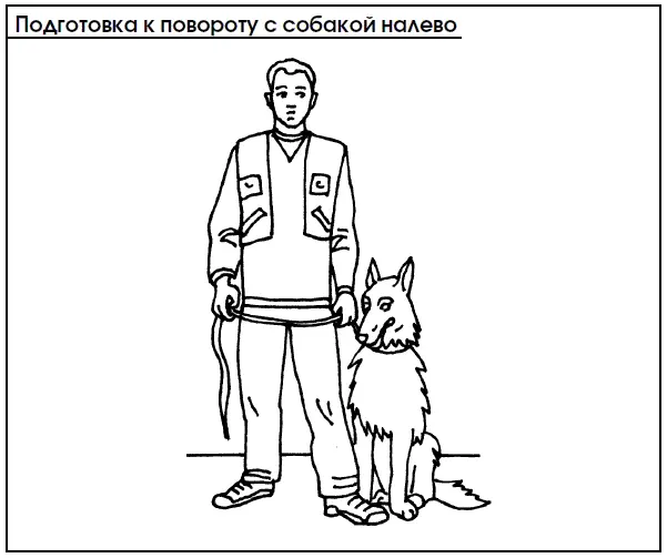 В дальнейшем усаживают щенка по команде Сидеть одновременно делая жест но - фото 73