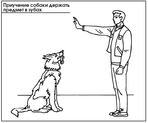Движение вперед Этот навык необходим когда обычное положение щенка у левой - фото 83
