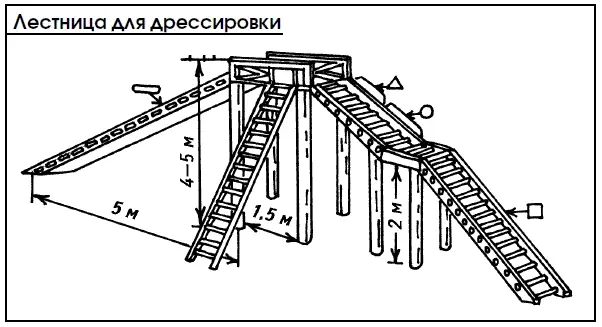 Осваивая упражнение сначала нужно водить щенка рядом с собой слева или за - фото 85