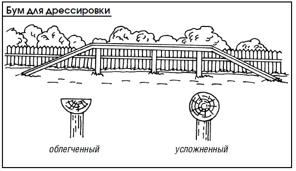 Когда щенок научится проходить по бревну с поддержкой нужно пускать его - фото 95