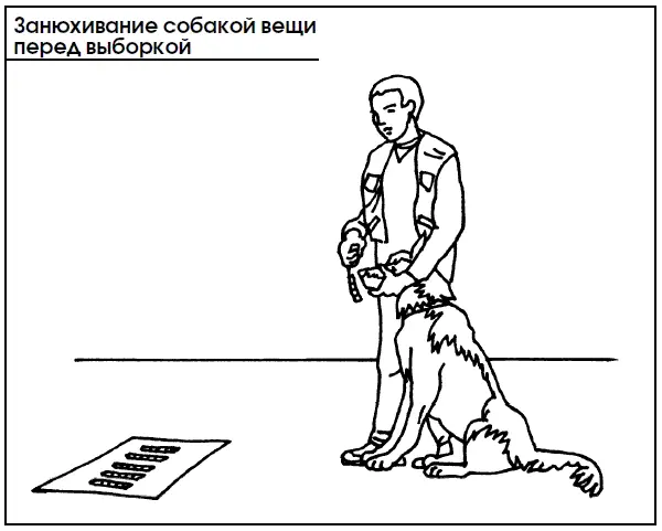 После того как собака начнет четко выбирать по запаху предмет дрессировщика из - фото 102