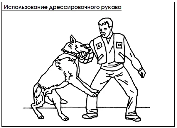 Помощник не должен делать сильных ударов чтобы не напугать собаку не вызвать - фото 104