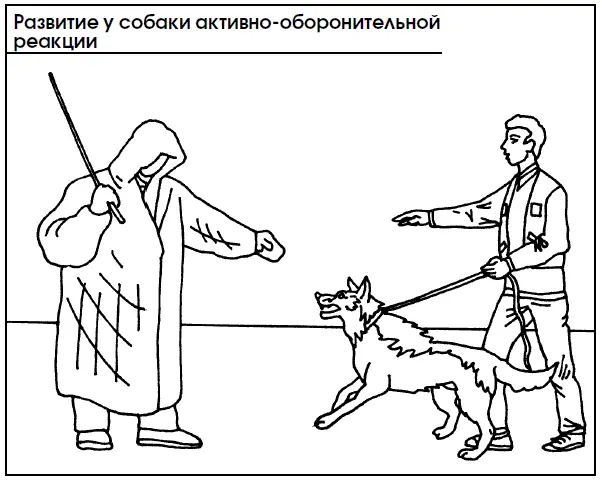 Вырабатывают хватку с перехватом следующим образом Дрессировщик держит собаку - фото 105