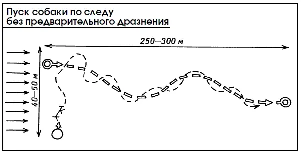 При отработке этого навыка возможны следующие ошибки дрессировщика 1 частое - фото 108