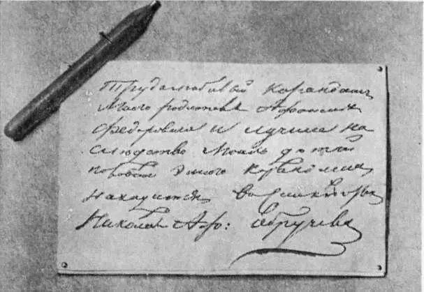 Трудолюбивый карандаш Эмилия Францевна Обручева Александр Афанасьевич - фото 4