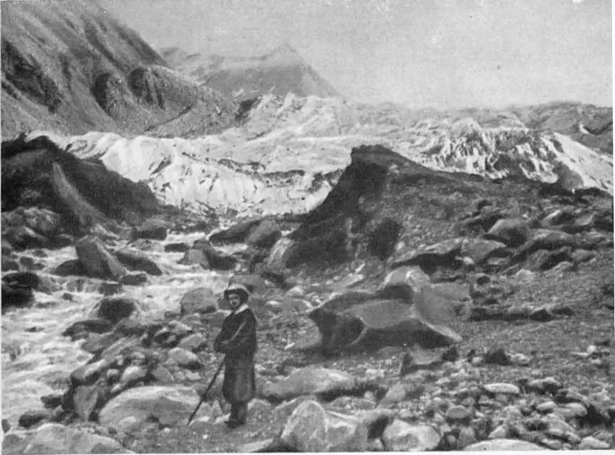 Конец ледника Менсу Белуха Алтай фото В В Сапожникова 1911 год Дача - фото 55