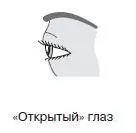 ХарактерЧеловек энергичный решительный Благодаря смелости очень правдив Не - фото 32