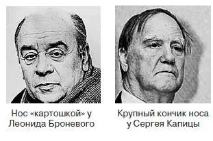 Знак сообразительности Если кончик носа полный круглый и прикрывает собой - фото 44