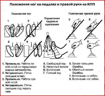 Индивидуальность посадкиПосадка должна соответствовать индивидуальным - фото 4