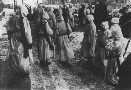 8мм ручной пулемет 31М на плече венгерского солдата Восточный фронт 1942 г - фото 86