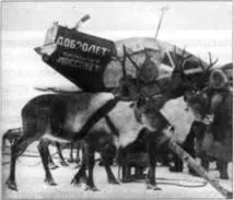 Широкое распространение в СССР получил пассажирский Ju 13 Транспортный - фото 2