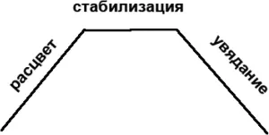 Некоторое время мы наблюдаем этап стабильности когда нам кажется что это уже - фото 3
