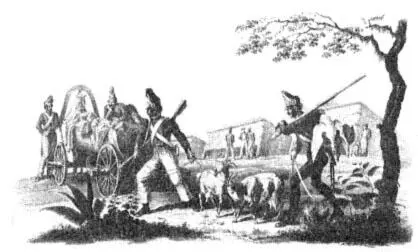 На бивуаке у Лиозны 4 августа 1812 г Литография Э Эменже Естественно - фото 25