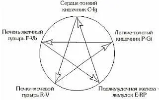 Схема 3 Общая схема взаимодействия Оценка общего состояния Ян Инь Вы - фото 3