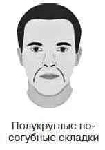 Линии щек сбалансированные кривые по обе стороны лица на некотором расстоянии - фото 48