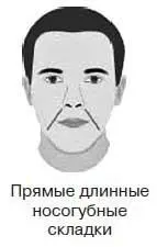 Прямые идущие от верхушек крыльев ноздрей до самого конца носогубные складки - фото 49
