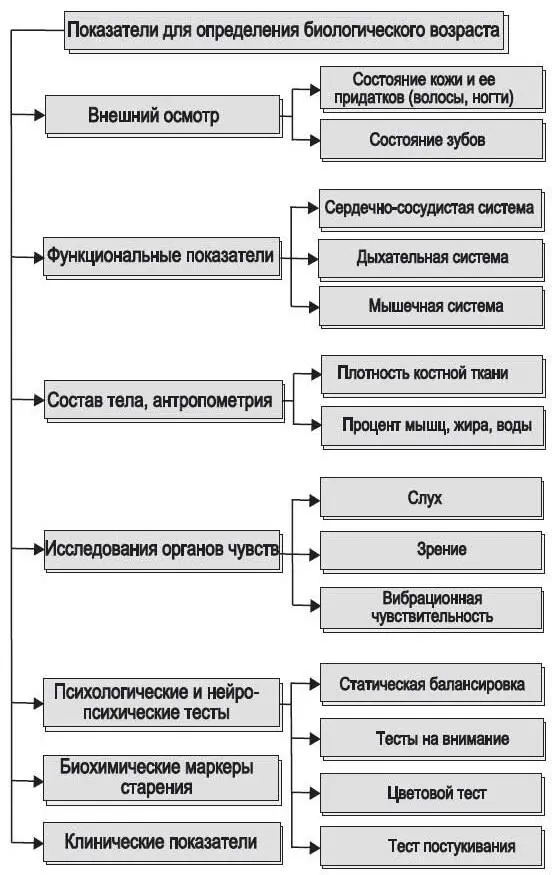Еще один домашний тест для субъективной оценки состояния здоровья не заменит - фото 81