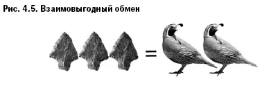 Продукты и услуги не настолько разнообразны как когдато сегодня они - фото 27