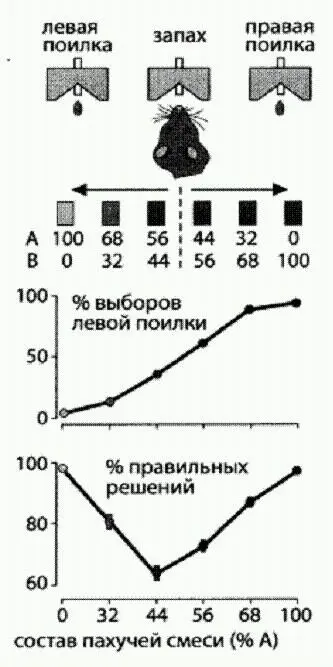 Схема эксперимента На верхнем графике показано с какой частотой одна из крыс - фото 4