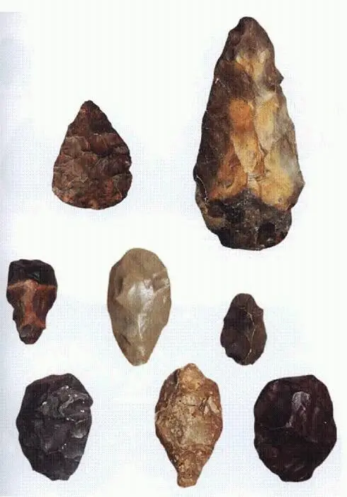Ашельские орудия Homo erectus обоюдоострые ручные рубила бифасы См главу - фото 9