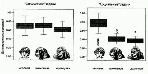 Эффективность решения физических и социальных задач у детей шимпанзе и - фото 39