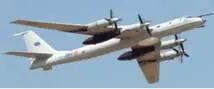 Ту142М Разработчик Туполев Изготовитель ТАВИА Первый полет 1975 - фото 27