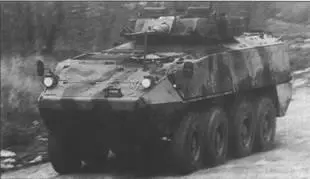 Другой вариант колесной БМП швейцарская Пиранья III с 25мм пушкой - фото 71
