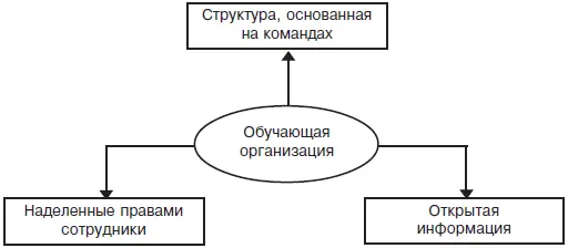 Рис 24 Элементы обучающейся организации На команды часто возлагается - фото 21