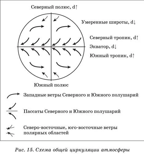 Биосфера Биосфера область активной жизни организмов охватывающая нижнюю - фото 33
