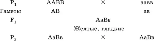 Для дальнейшей записи используется решетка Пеннета Во втором поколении - фото 25