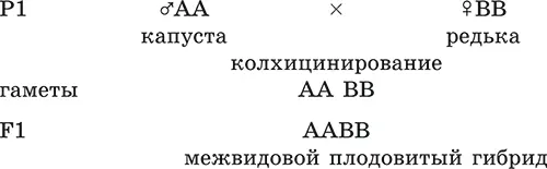 382 Методы работы ИВ Мичурина И В Мичурин отечественный селекционер - фото 31