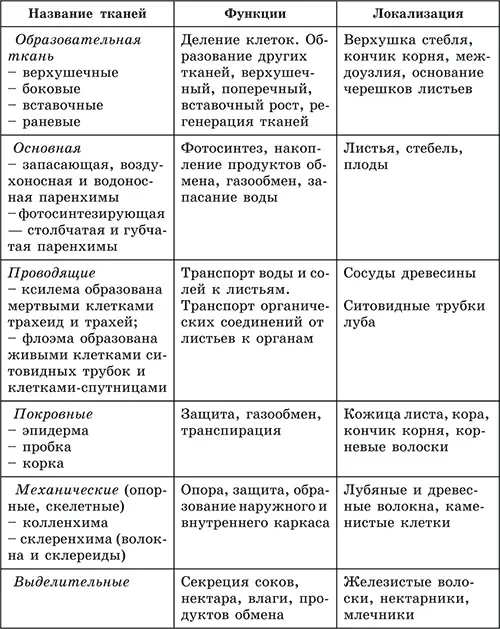 443 Вегетативные органы цветковых растений Корень Орган это часть тела - фото 37