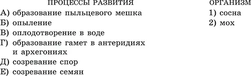 В4 Определите последовательность развития растения папоротника начиная со - фото 39