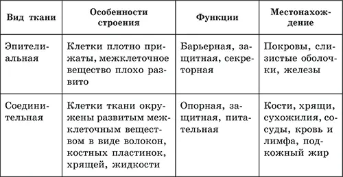 Из тканей формируются органы причем одна из тканей органа является - фото 52