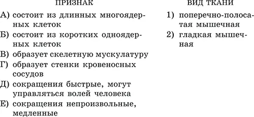 512 Строение и функции пищеварительной системы Основные термины и понятия - фото 54