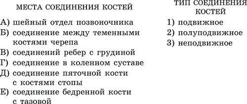 ЧастьС С1 Какие особенности скелета человека связаны с прямо хождением и его - фото 55