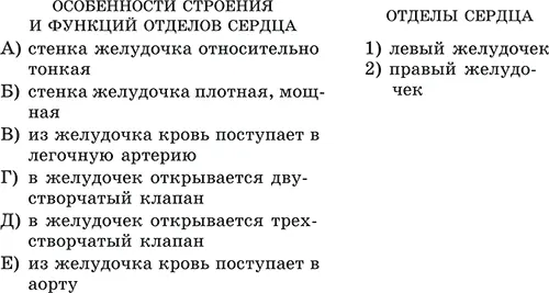 В4 6Установите последовательность движения лимфы по сосудам A вены большого - фото 56