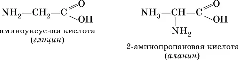 Аминокислоты проявляют свойства и кислот и аминов Так они образуют соли за - фото 351